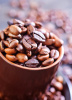 tc-208 shutterstock_206433370