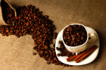 tc-211 shutterstock_206930017