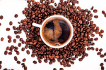 tc-212 shutterstock_206985124