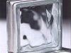 1b